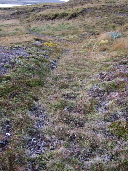 Gamla þjóðleiðin ofan Búrfells(kots)