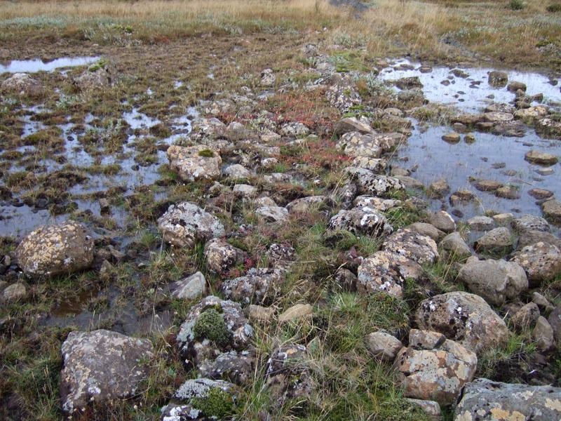 Önnur brú á gömlu þjóðleiðinni til Þingvalla