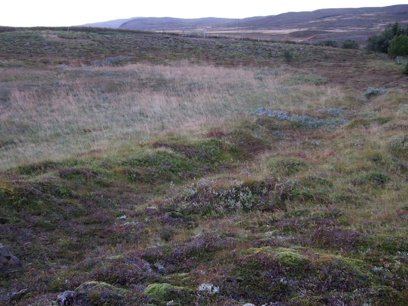 Hluti hinnar gömlu þjóðleiðar um sumarhúsabyggð vestan Silungatjarnar