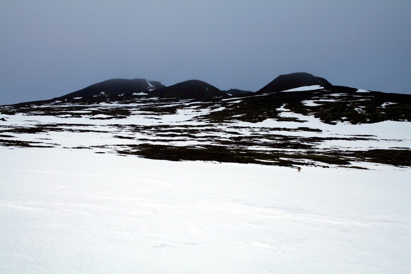 Þríhnúkar
