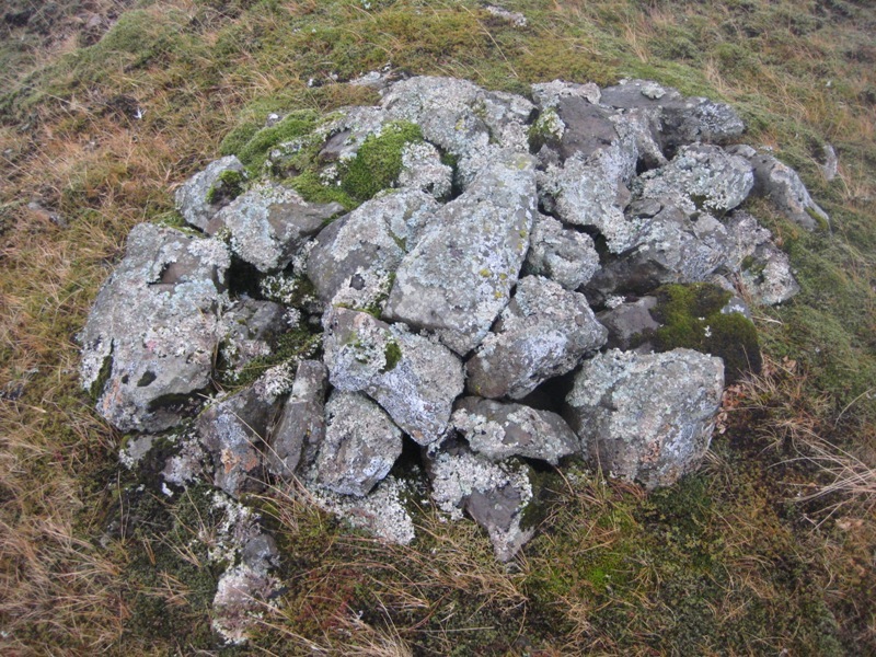 Vor&eth;u