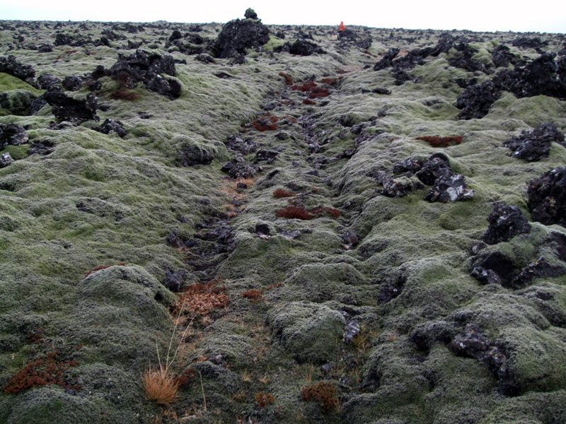 Hristoarstigur-2