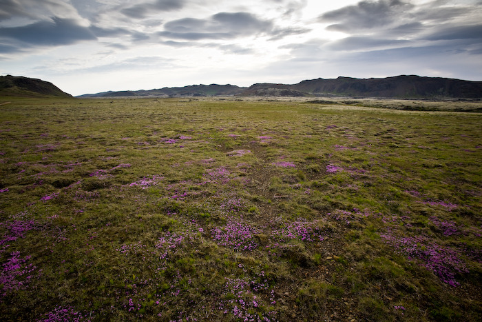 Traðarfjöll 2