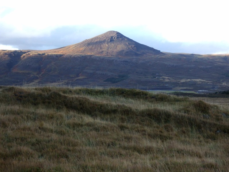 Trönudalsrétt - Sandfell fjær