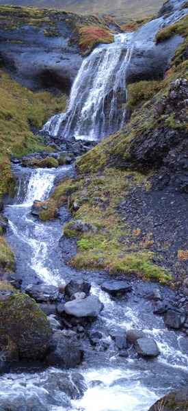 Foss, einn af mörgum, í Trönudal