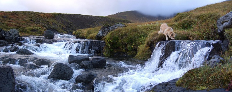 Ármót í miðjum Trönudal