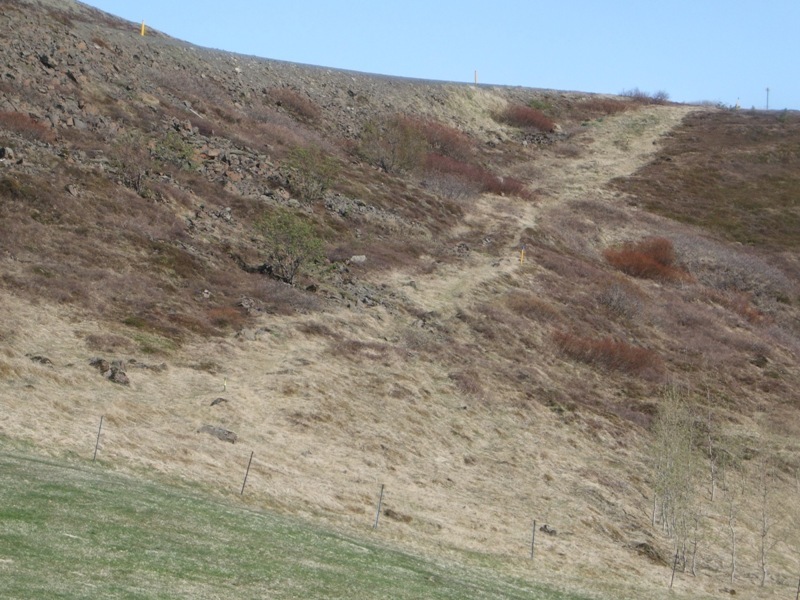 Kirkjuklif