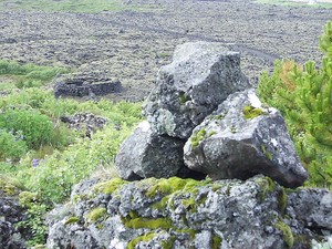 Þorbjarnarstaðaborg