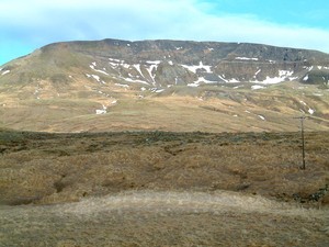 Þerneyjarsel